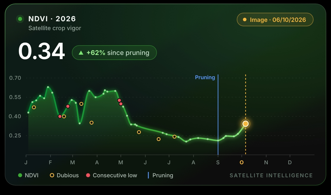 NDVI history card: crop vigor 0.34, up 62% since pruning, with the 2026 season curve